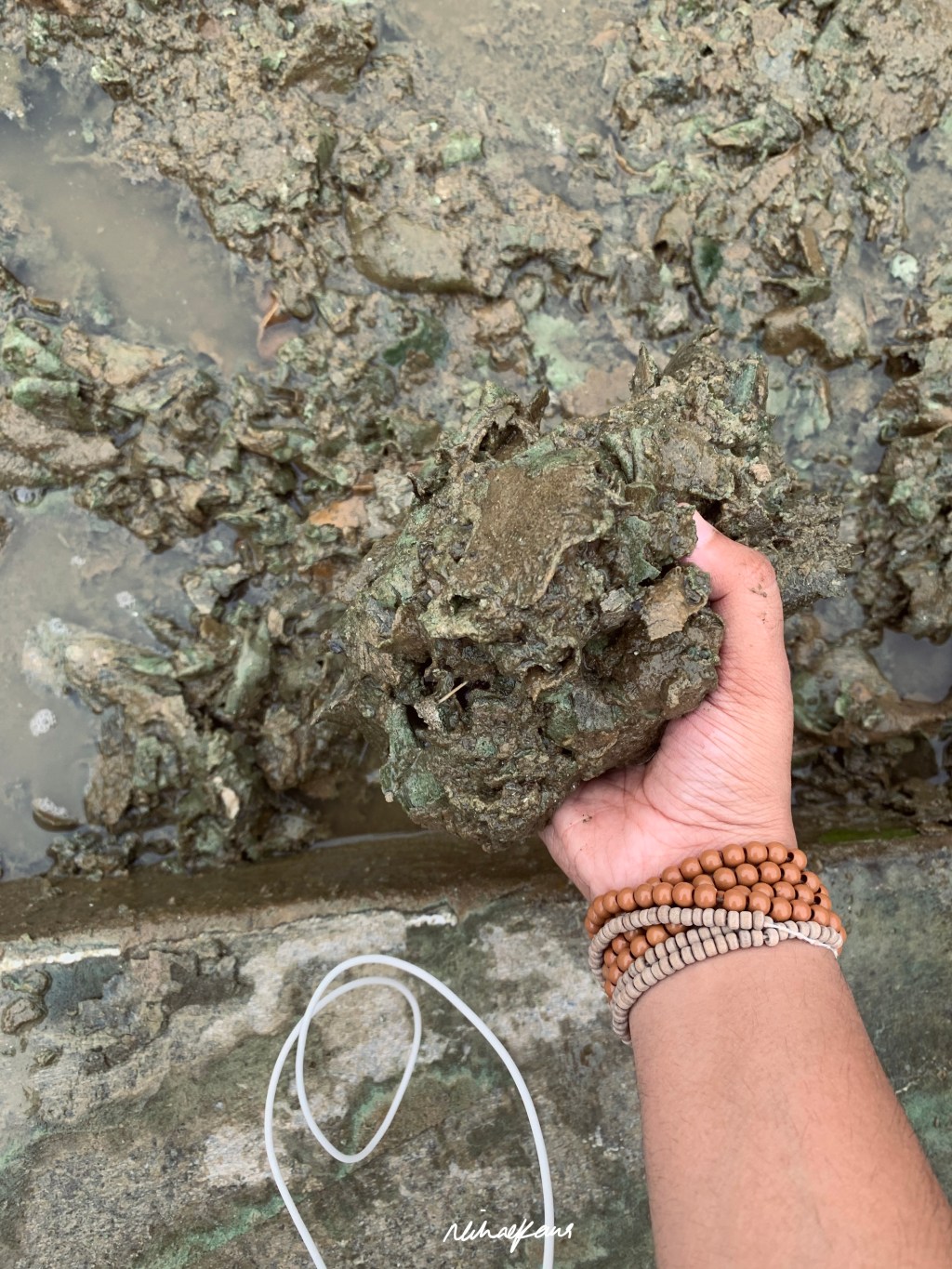 ik sakhat seva di sakhi | manually cleaning a Sarovar 